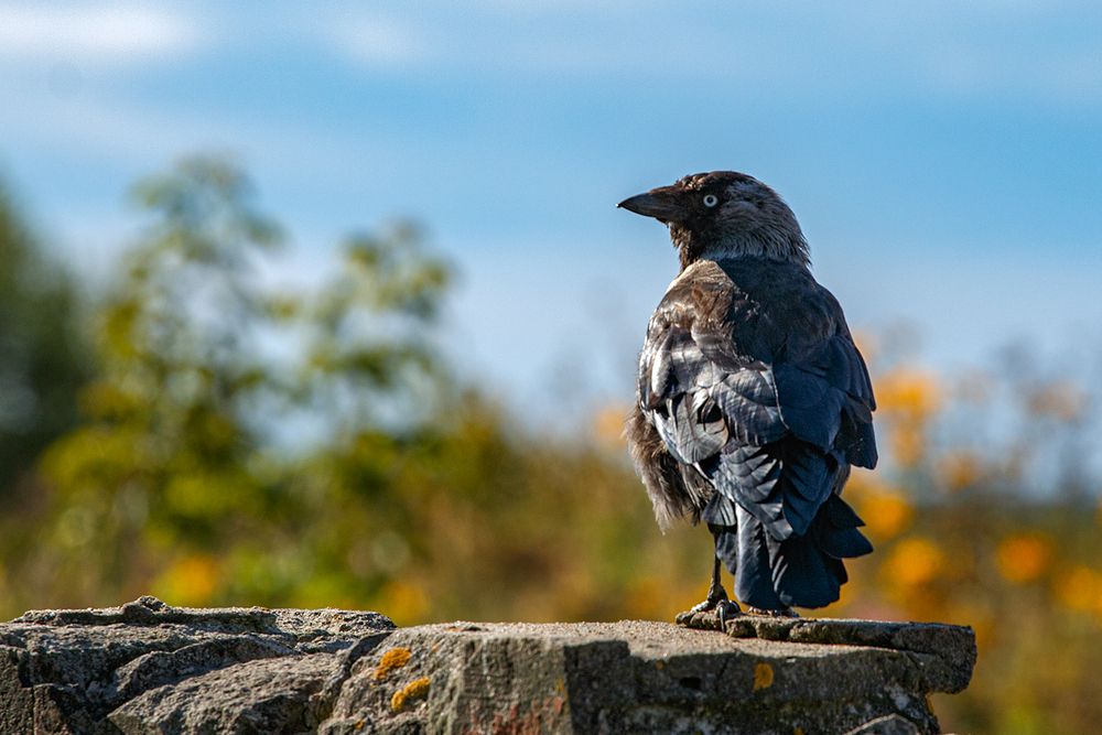 Photograph by Nadezhda Khrustaleva