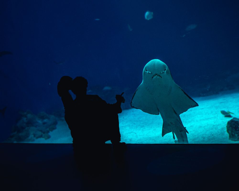 I Am Your New Friend