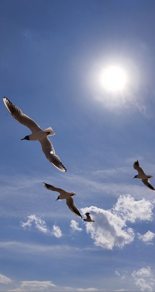 Photograph by Любовь Макарова