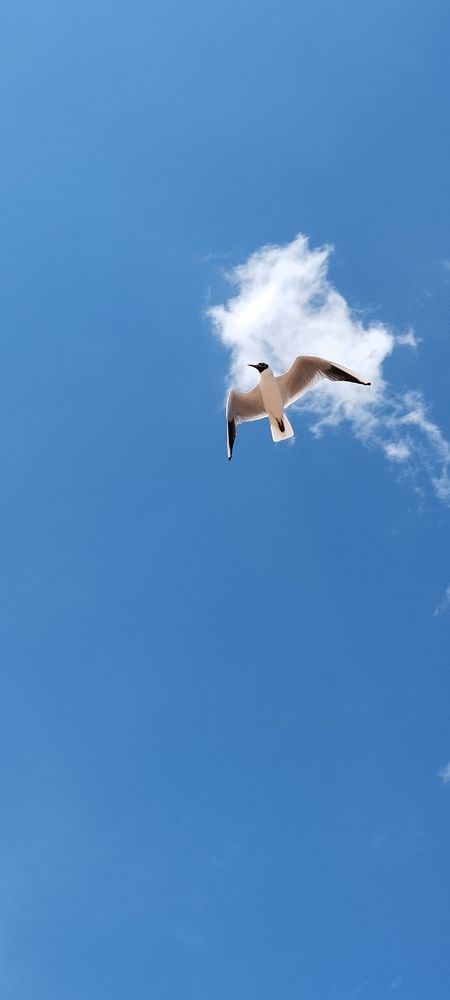 Photograph by Любовь Макарова