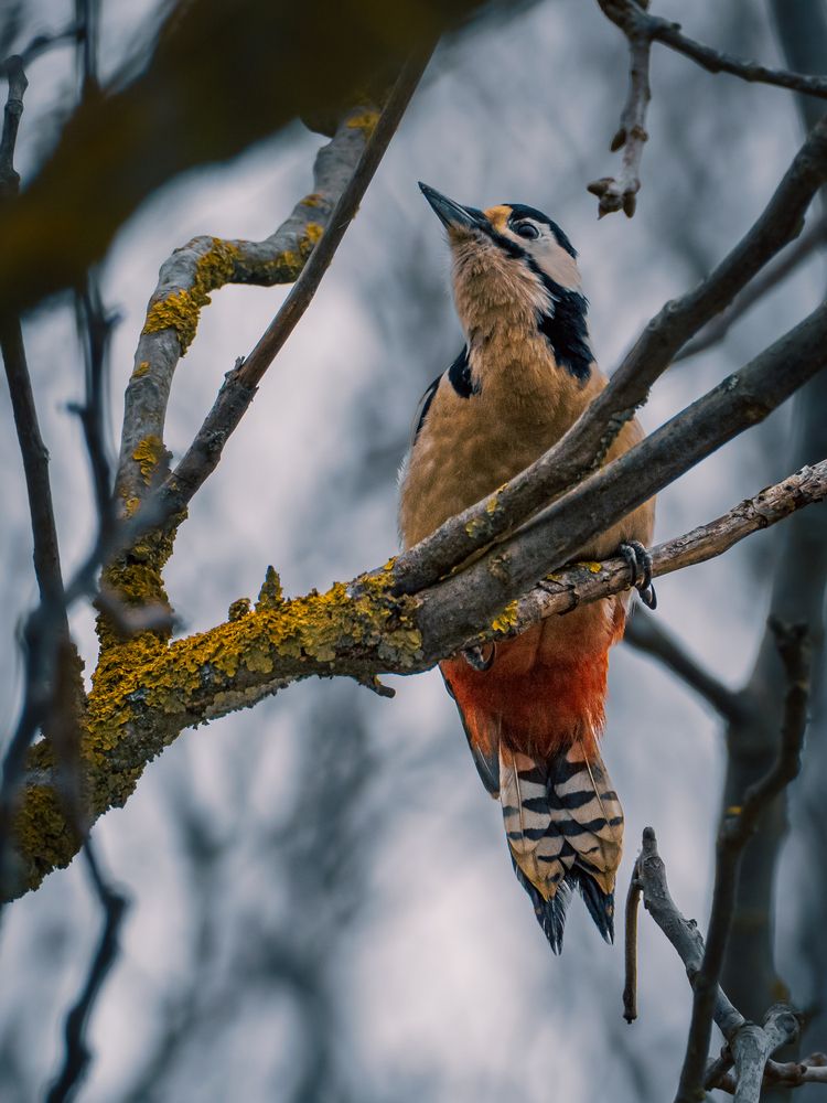 Photograph by Gergely Janovszky