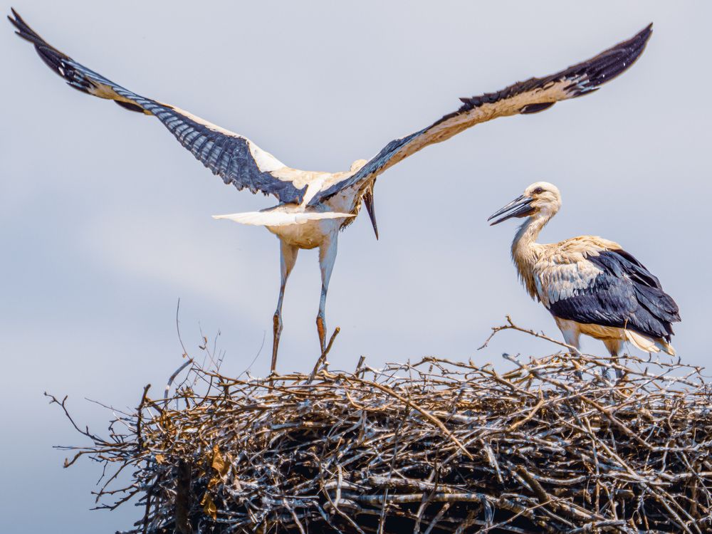 Photograph by Gergely Janovszky