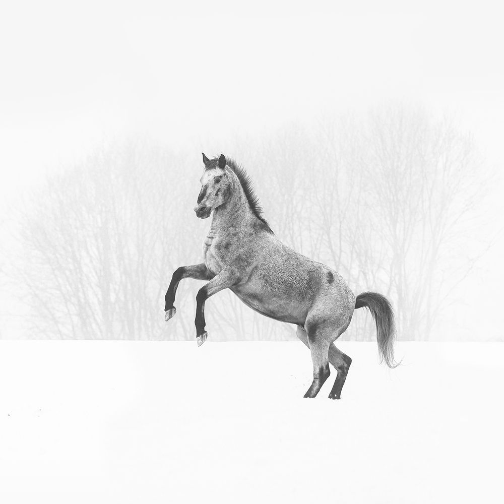 Photograph by Анжелика Титова