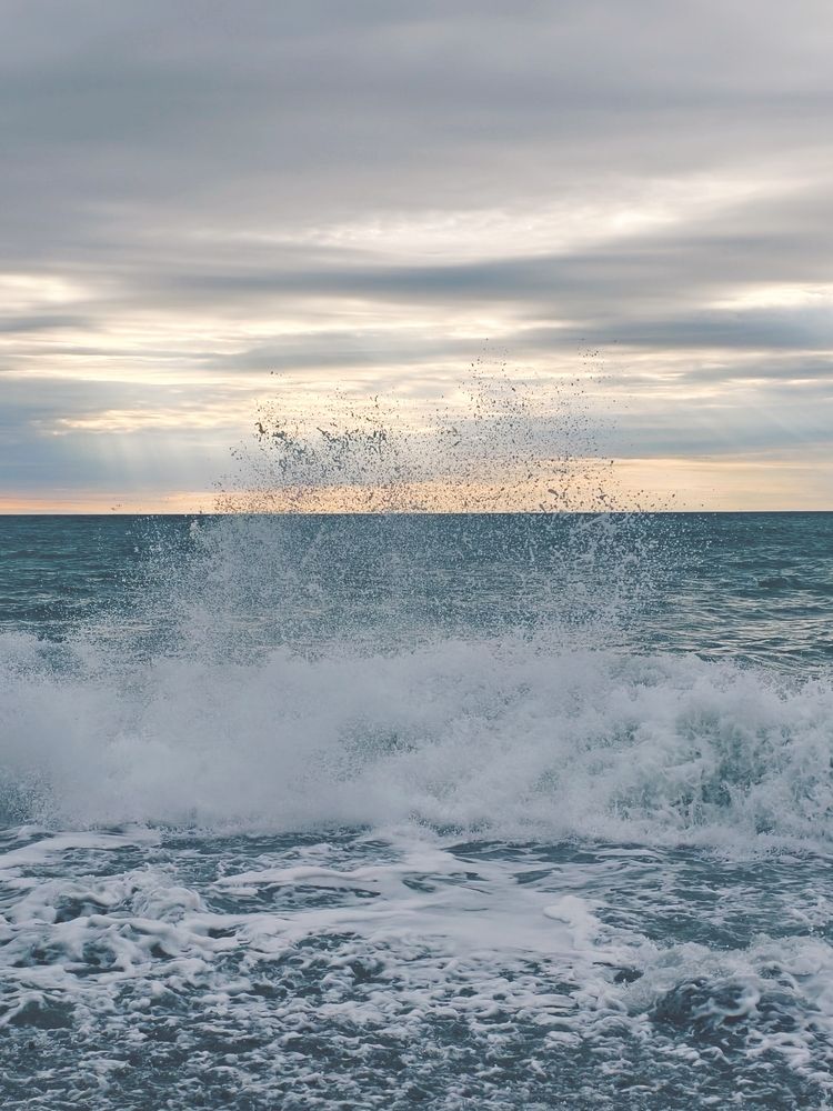 Photograph by Максим Сундеев