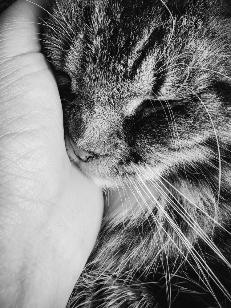 Photograph by Алеся Садченко