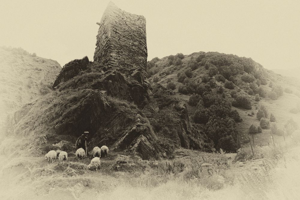 Photograph by Elena Dzeravianka