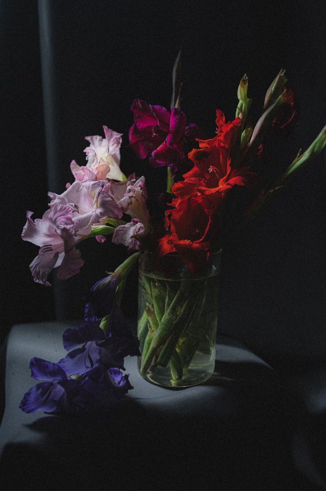 Photograph by Оксана Артимович