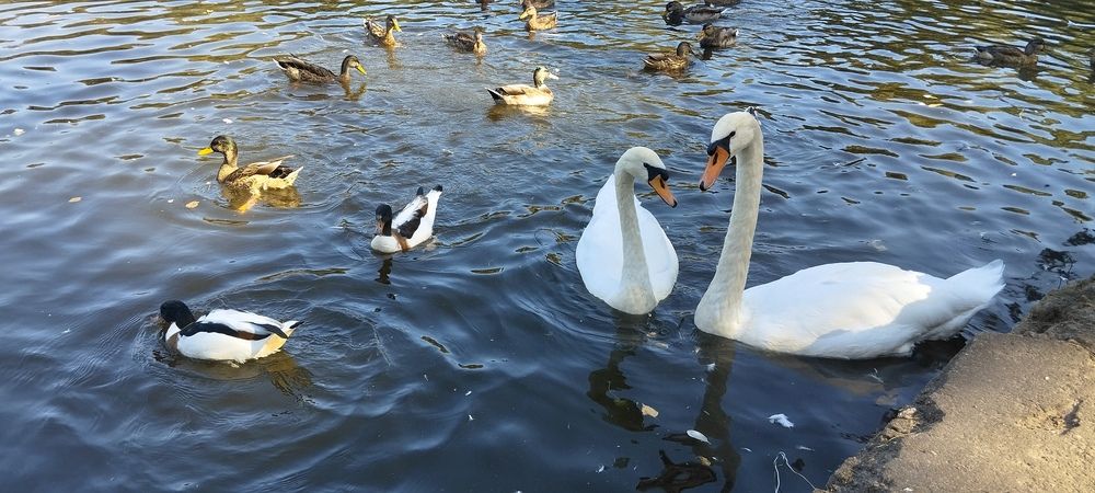 Photograph by Любовь Макарова