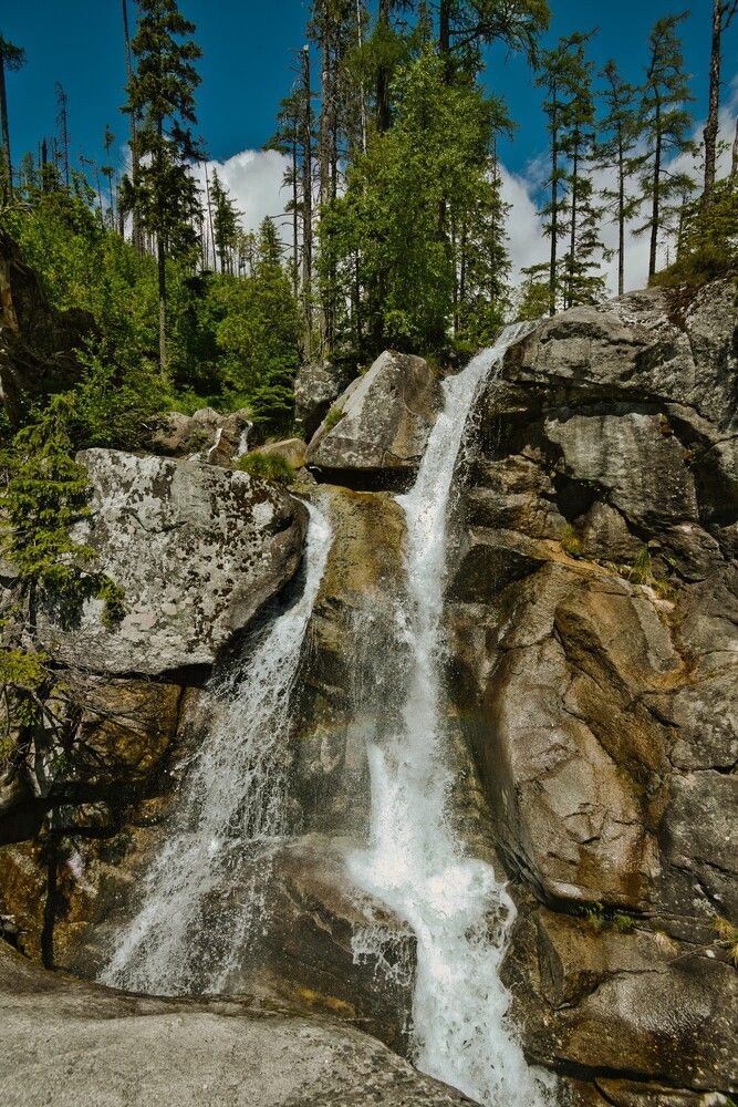 Фотография автора Janis Serdienis