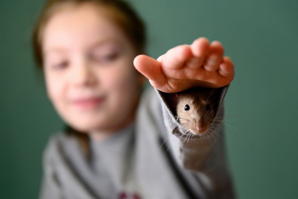 Фотография автора Станислав Левандовский