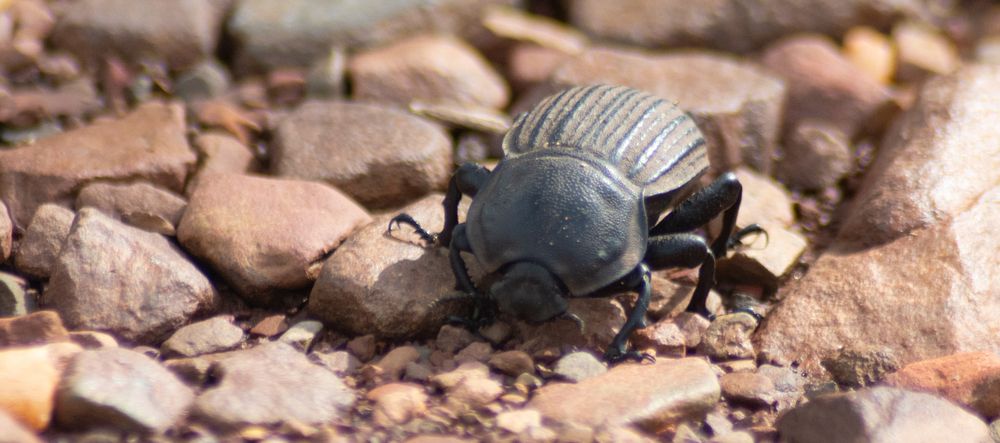 Photograph by Mark Robert Fruhauf