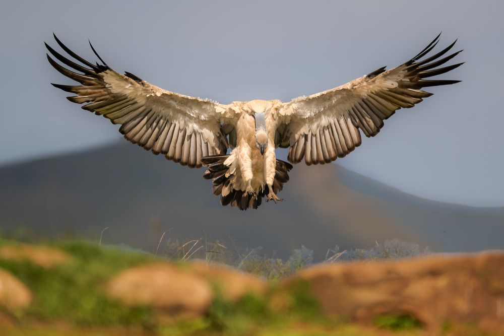 Photograph by Ruzhdi Ibrahimi