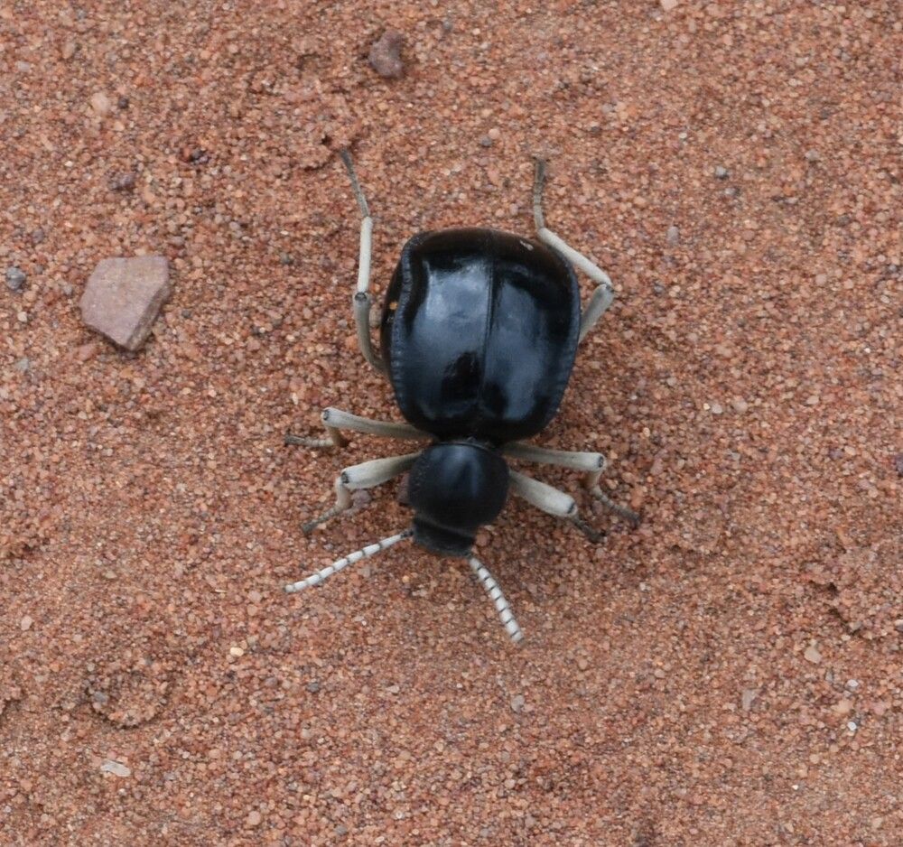 Photograph by Mark Robert Fruhauf