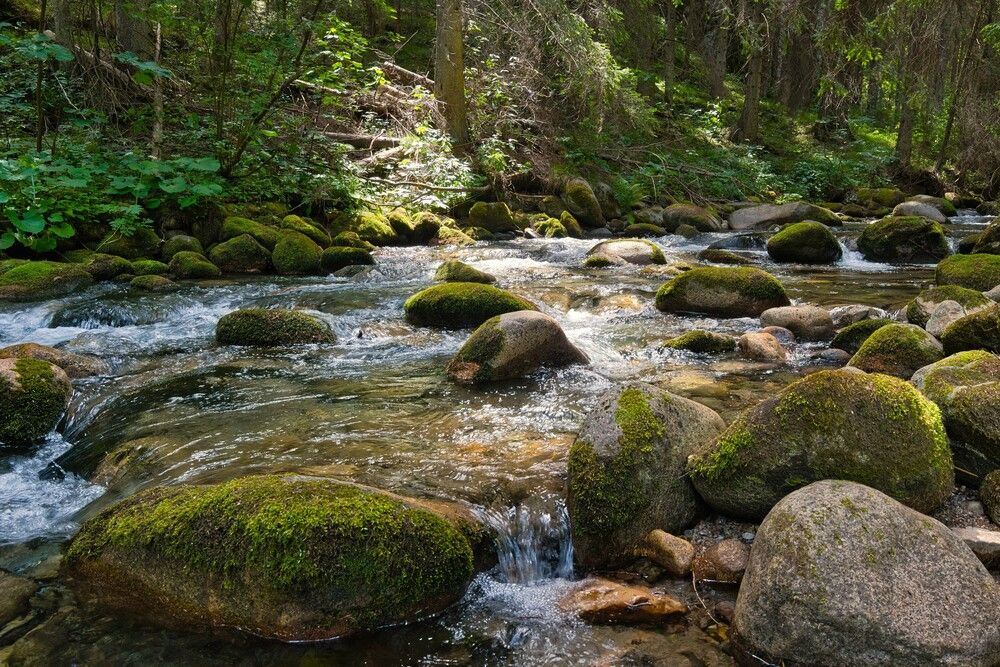 Фотография автора Janis Serdienis