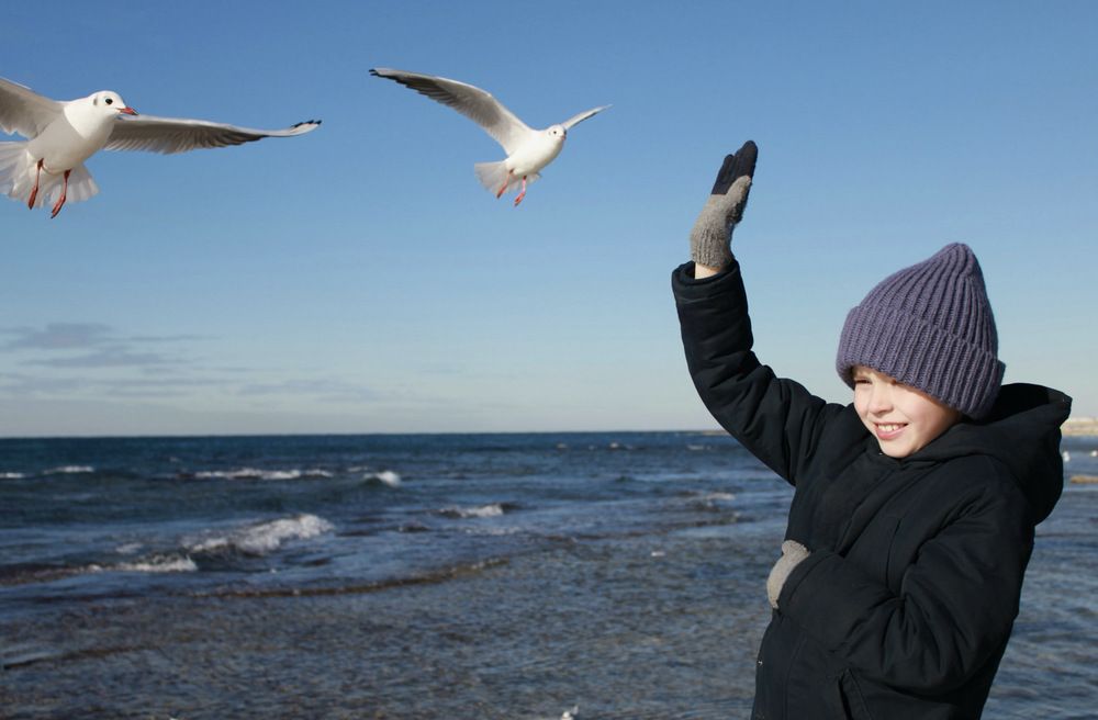 Photograph by Татьяна Челухиди