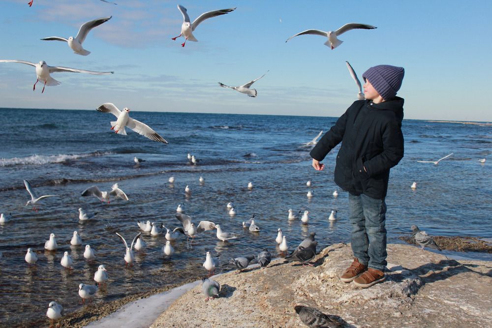 Photograph by Татьяна Челухиди