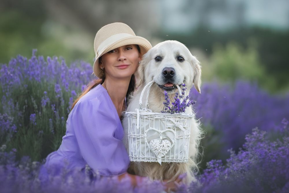 Photograph by Наталья Орел