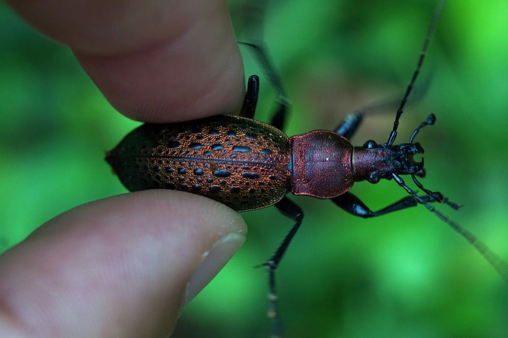 Photograph by Лена Максимкина