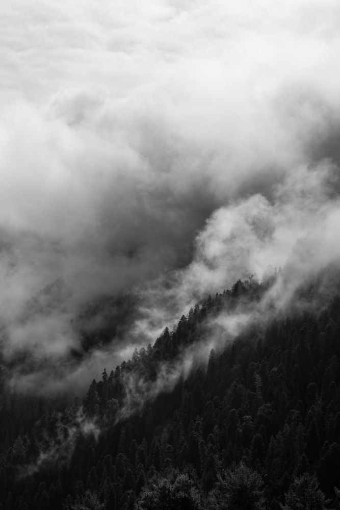 Photograph by Дмитрий Костяков