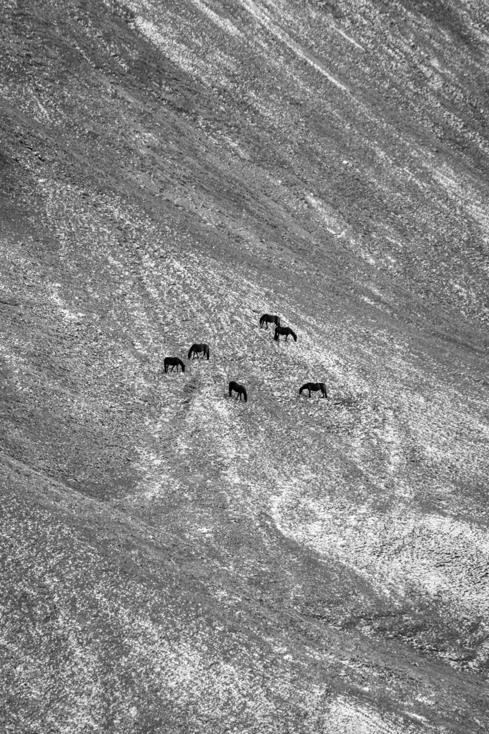 Photo #13258609