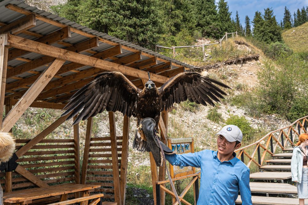 Photograph by Сергей Плотников