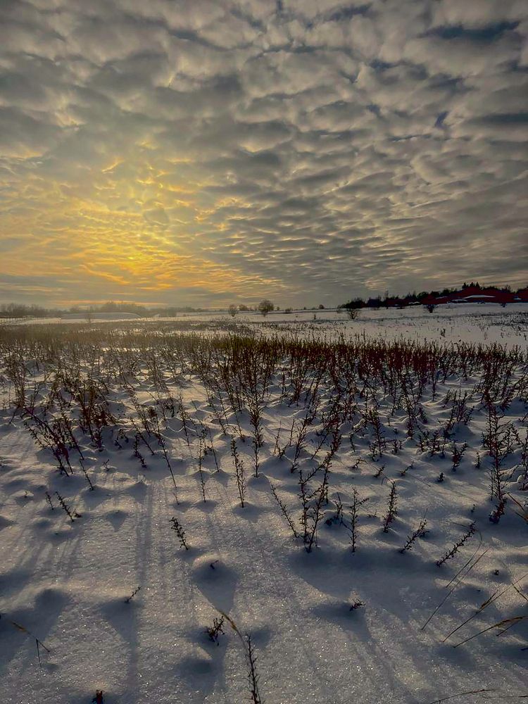 Photograph by Владимир Баулин