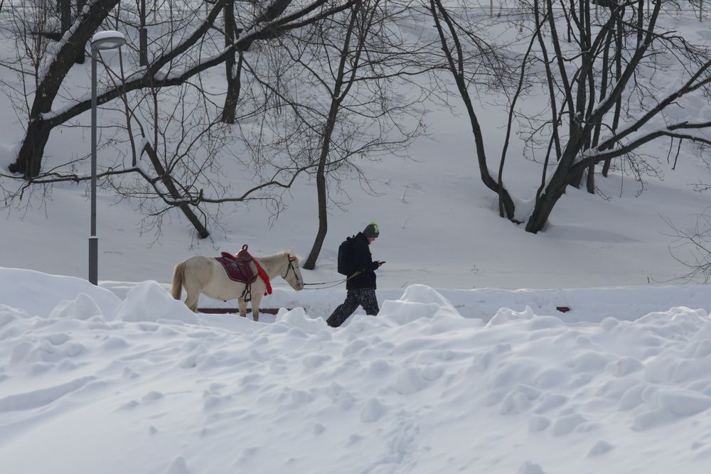Прогулка по парку