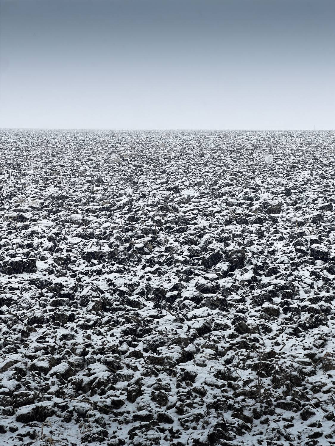 Фотография #13258659