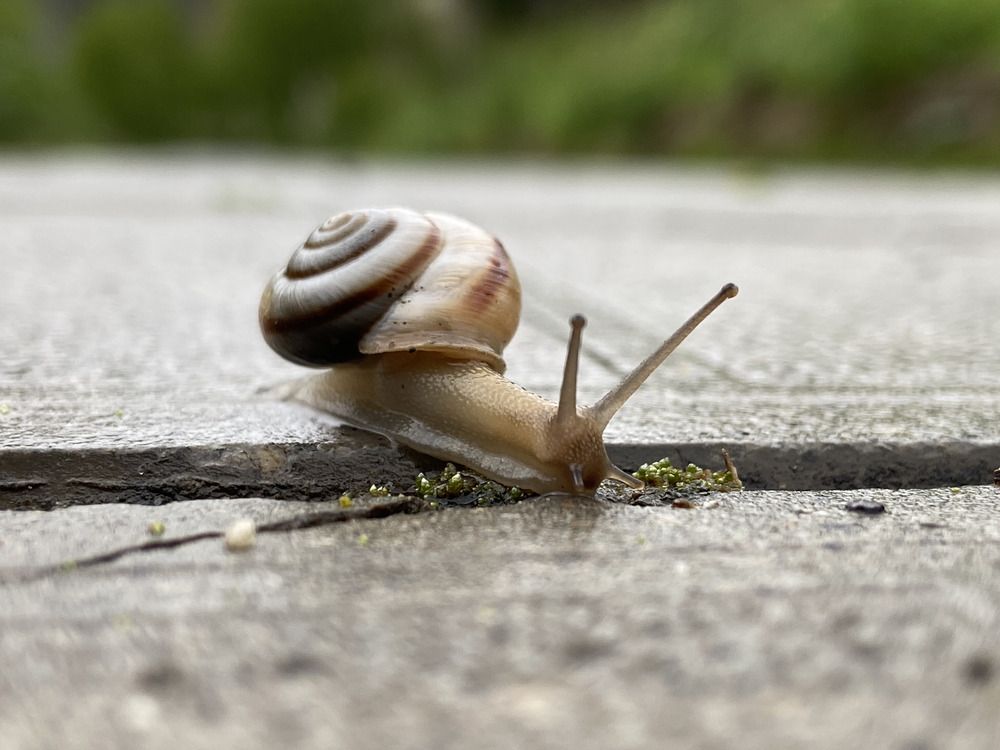 Photograph by Карпович Максим