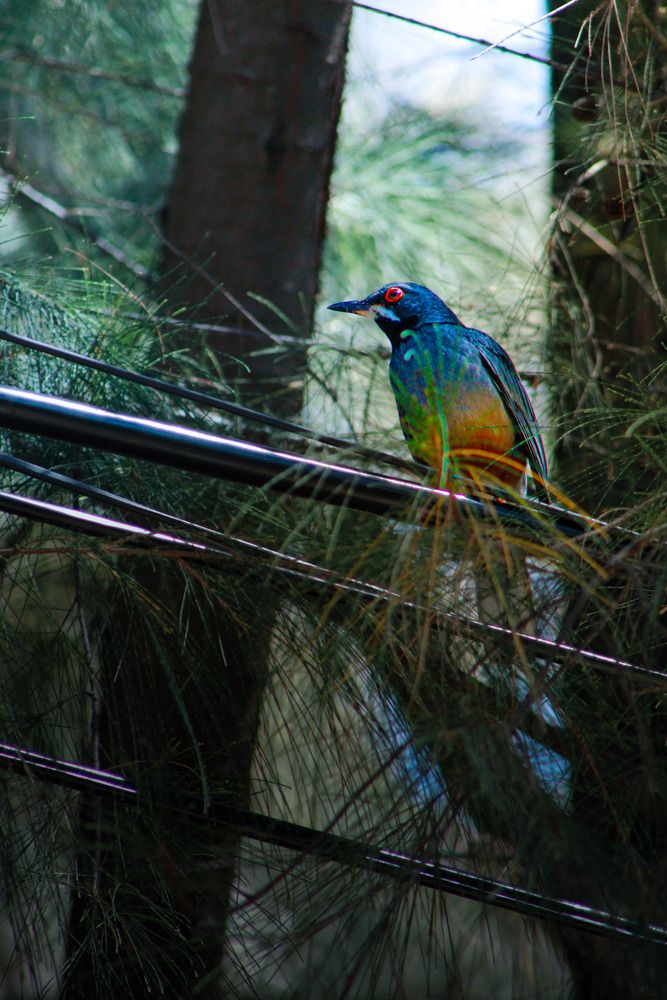 Photograph by José Carlos