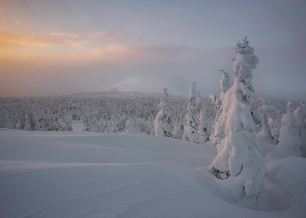 Photograph by Ширгин Сергей