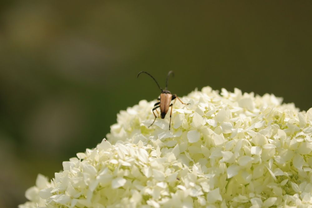 Photograph by Екатерина Александровна