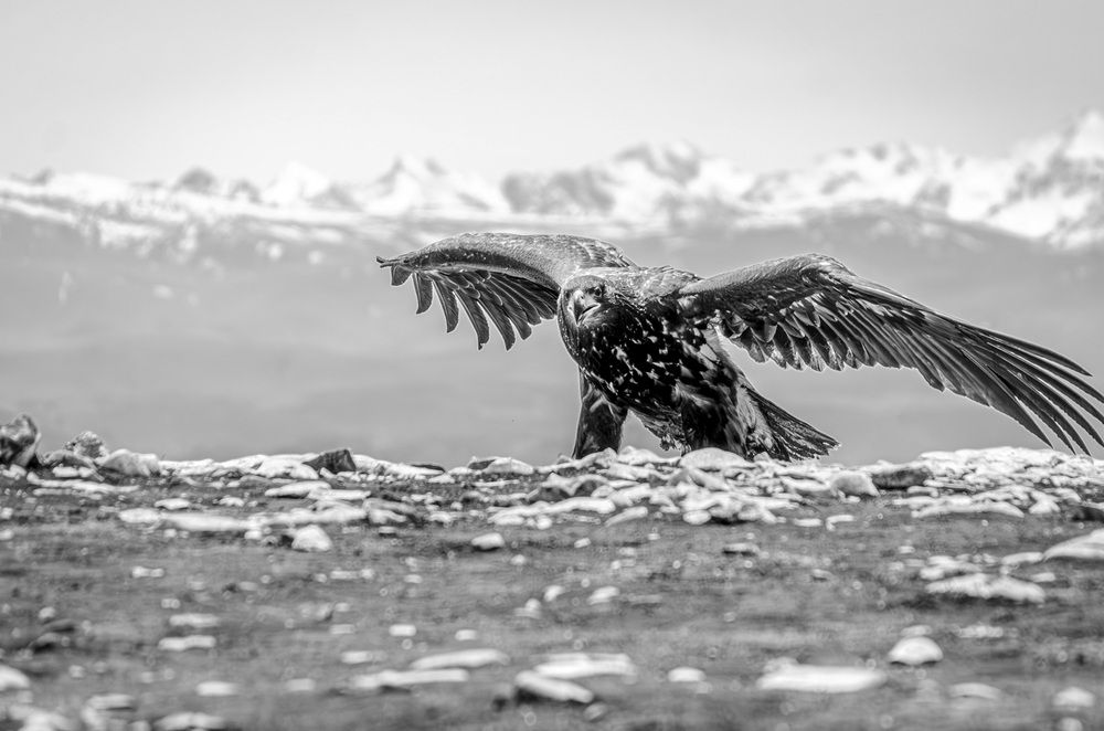 Фотография автора Олег Васильев