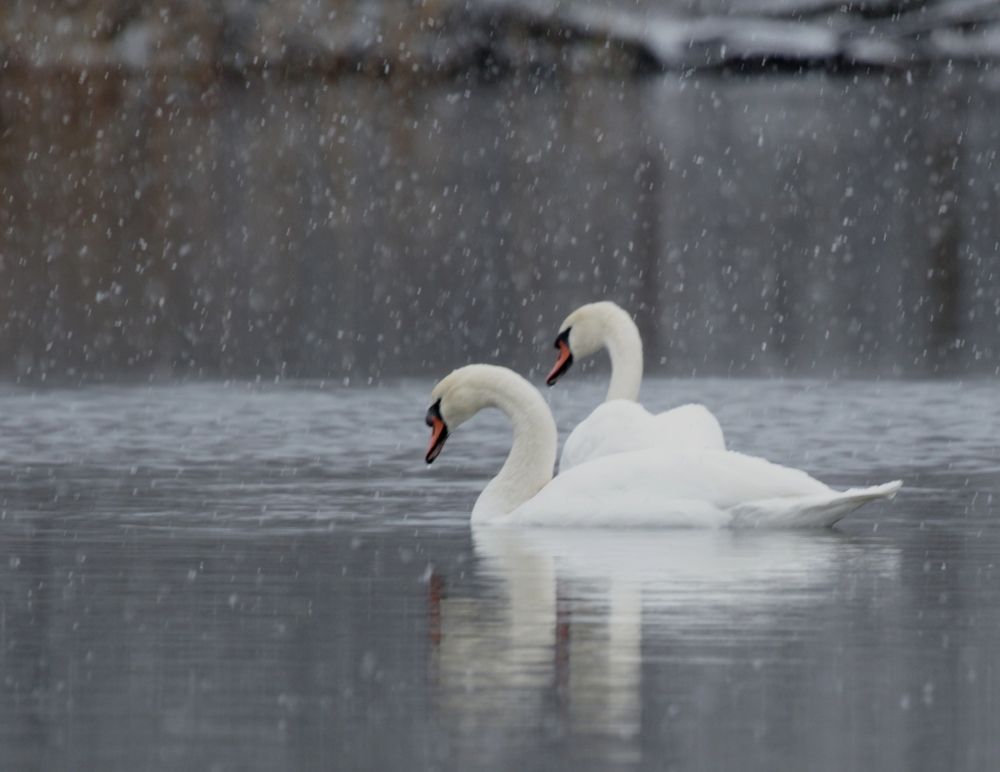 Photograph by Ольга