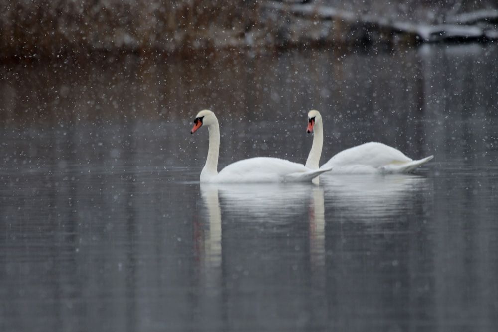 Photograph by Ольга