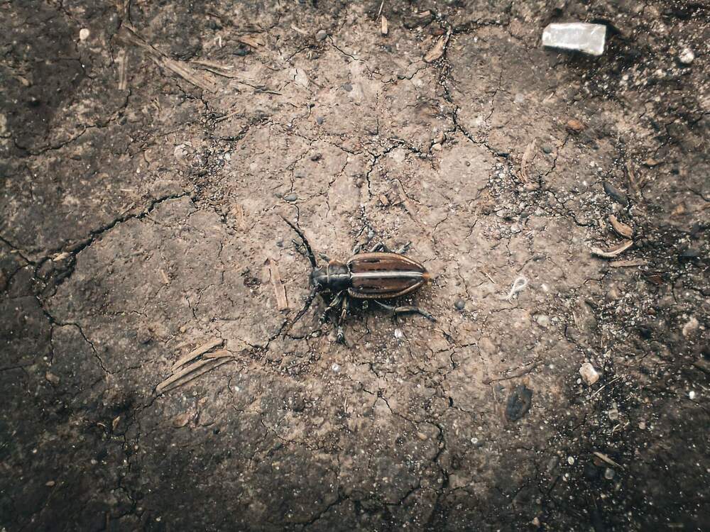 Photograph by Настя Настена