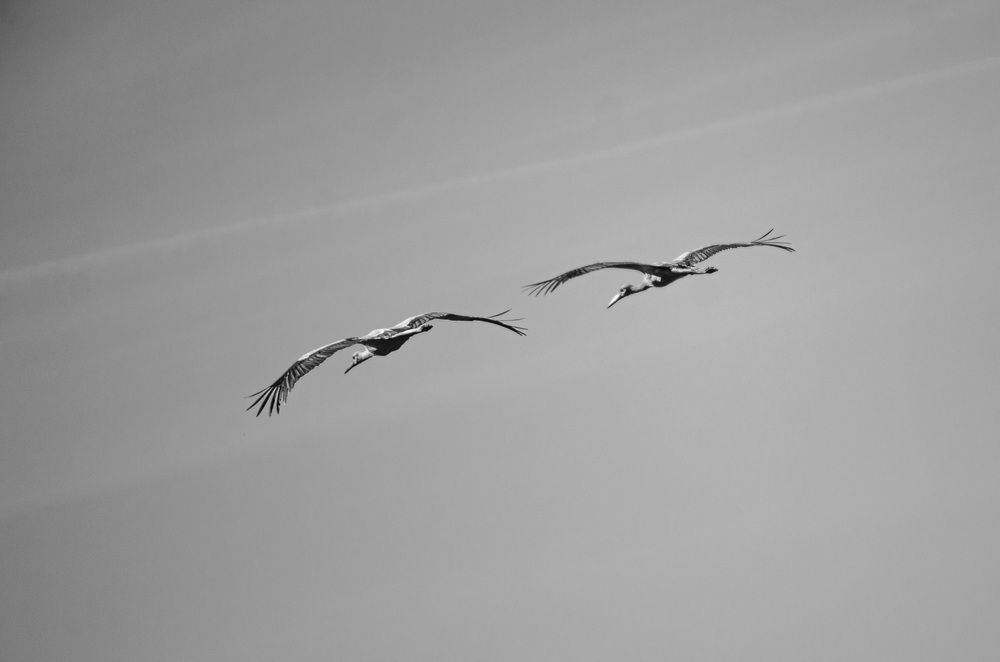 Фотография автора Олег Васильев