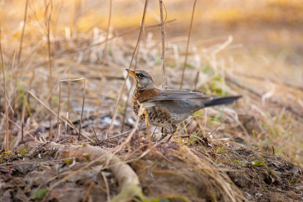Photograph by Olga Gann