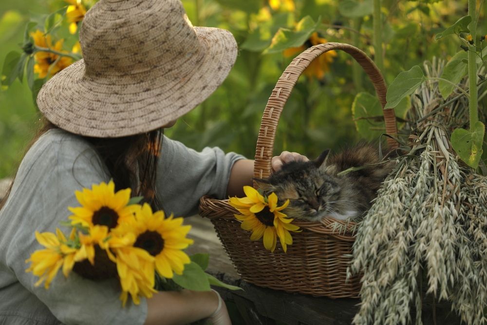 Photograph by Ольга