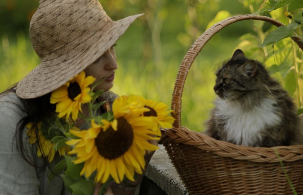 Photograph by Ольга