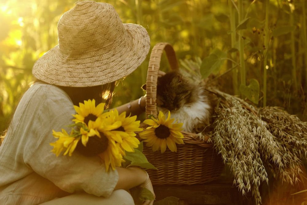 Photograph by Ольга