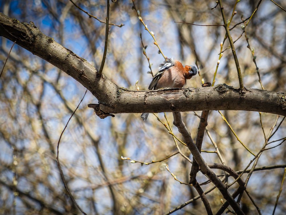 Photograph by Татаринов Валерий