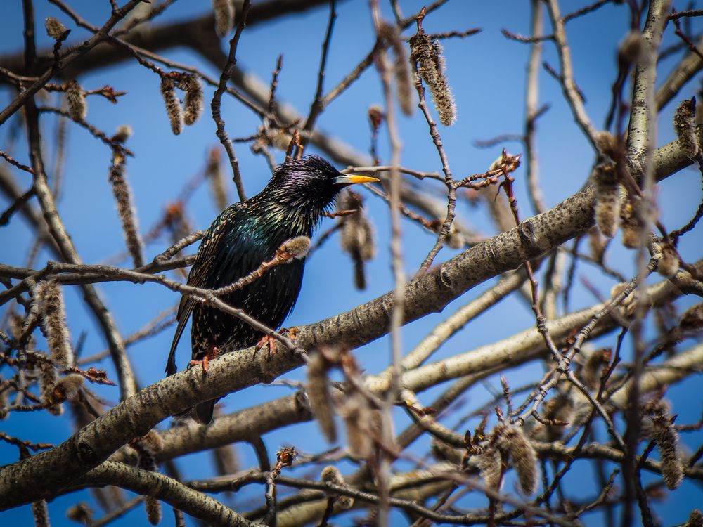 Photograph by Татаринов Валерий