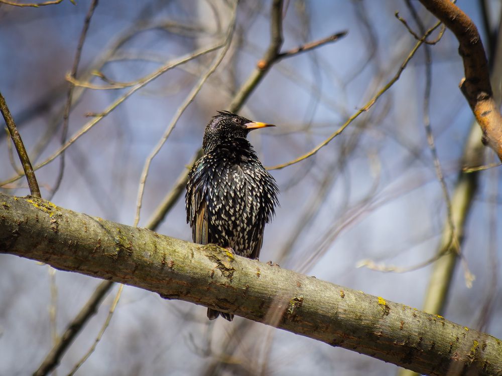 Photograph by Татаринов Валерий