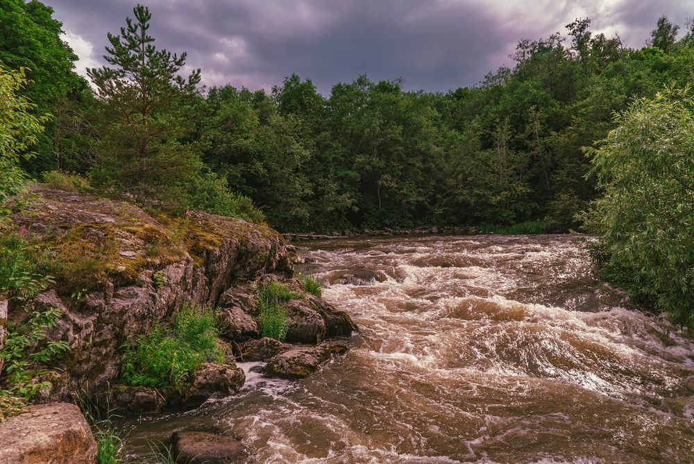 Photograph by Петр Жаринов