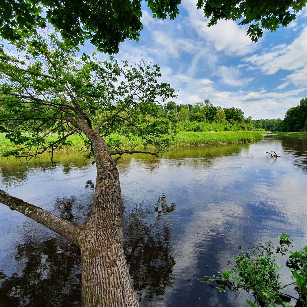 Photograph by Олег Черноокий