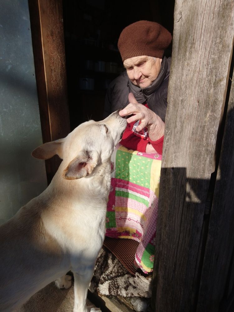 Photograph by Ольга Аристова