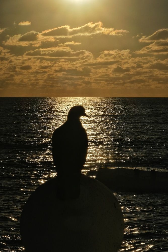 Photograph by Юлия Фёдорова