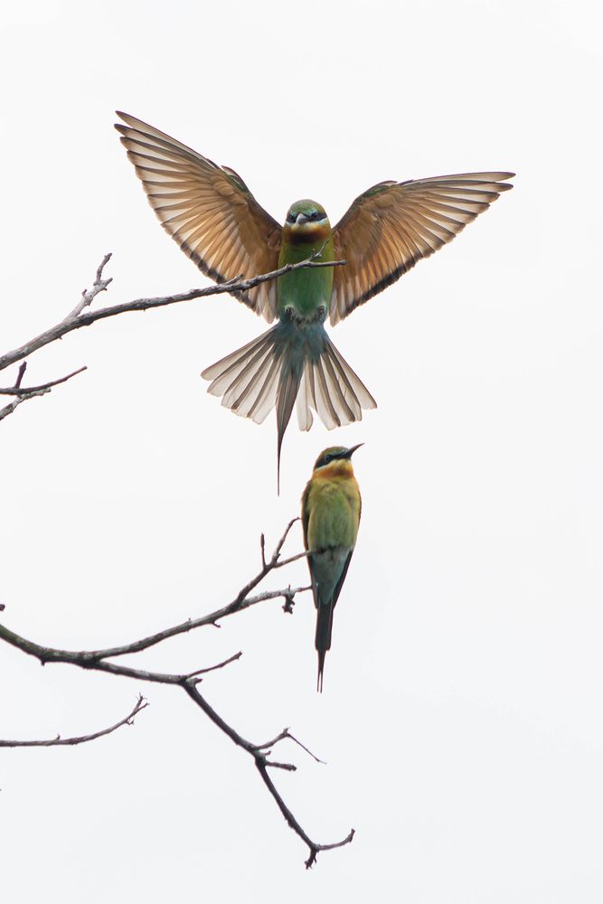 Photograph by Ranga Suriyage