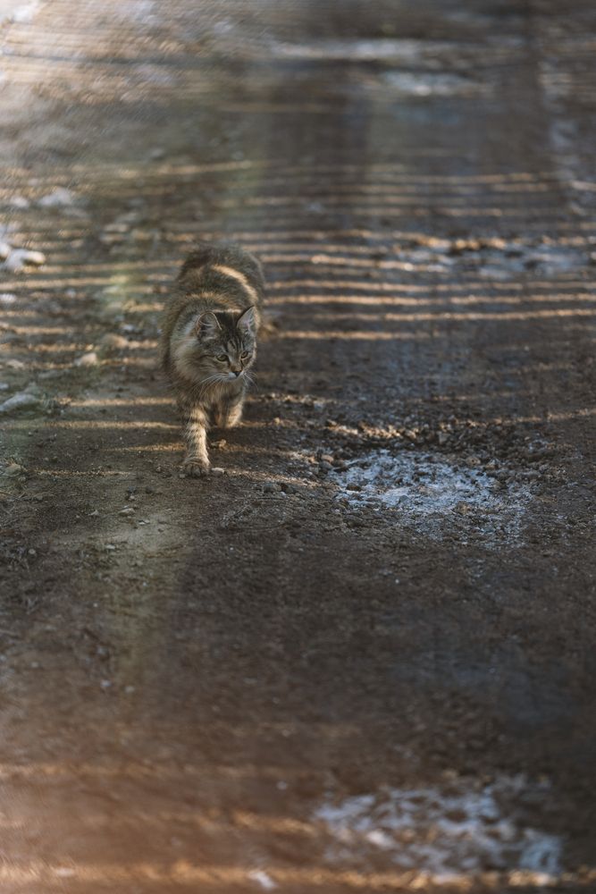 Photograph by Светлана Рубникович